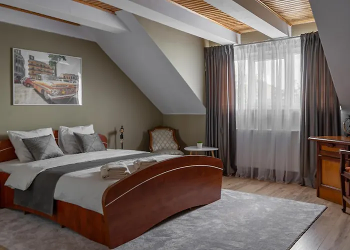 Mootoo Flat One Timişoara